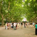 襄陽公園位於襄陽南路與淮海中路交口，公園雖小，卻是離家最近的綠地。