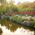 總統府博愛湖畔有一小島，上植紅楓，小巧可愛，紅葉映在水面上尤顯詩情畫意。