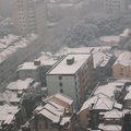 被雪掩埋的上海。