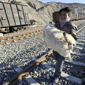 新疆火車放牧