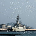 中國海軍駐南海舰队
