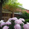 2009 官邸菊宴