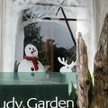 Judy's Garden - 1