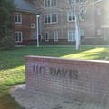 以農學院起家的UC Davis 是這個城市的重心, 幾乎所有住在Davis的人都是學校的學生或職員!