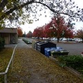 【最夢幻的秋季】－加州小鎮 Davis 2010 - 107