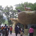 壽山動物園