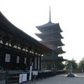 興福寺內東金堂與五重塔