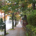 秋天的日本東北以及東京附近地區