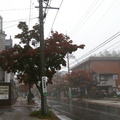 輕井澤街上也透露出不景氣的愁雲慘霧