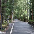 輕井澤的森林步道