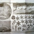 1802年手工裝訂科學畫冊集3