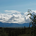 Denali 2010 - 4