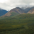 Denali 2010 - 8