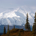 Denali 2010 - 4