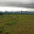 Denali 2010 - 1