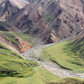 Denali 2010 - 1