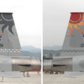 ■ TAIWAN　　F5E & F16A　空軍該如何處理戰機上～太陽神圖騰