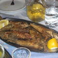 小島烤魚2, 各式各樣的石礁魚,哇25歐元,比起羅馬嚇人的物價,小島美食吃的很開心