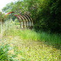 植物園生態池