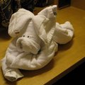 One of the many towel creations made by the cruise staff who cleaned our room
