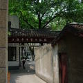 上海中醫文獻館隱在瑞金路的巷弄裏