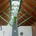 宜蘭仁山植物園公廁屋頂保留自然天光
