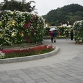 2010台北國際花卉博覽會 - 13