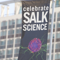 Salk Institute - 1