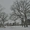 MN winter - 2