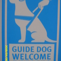 GUIDED DOGS - 4