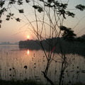 Cheng Chin Lake - 4