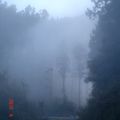 霧裡的鐵道