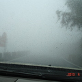 霧中的阿里山公路