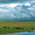 塞里木湖位於新疆天山西