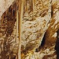 1887年，英國測繪師在毛利酋長陪同下，乘亞麻小筏，手持火把進洞探險，發現洞內奇景。螢火蟲幼蟲聚集一起，形成奇妙的景觀。遊人接踵而至，螢火蟲洞也揚名世界。距發現此洞百年後的1989年，紐西蘭當局終於把這個洞的所有權歸還給毛利族人。 
