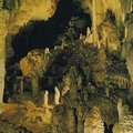 從綠樹掩映的洞口，進入有1.5萬年歷史的鐘乳石溶洞。昏暗中一直走到洞穴深處，看到側面岩石上一片綠白色微光。微光下是無數條長短不一的半透明細絲，從洞頂傾瀉而下。