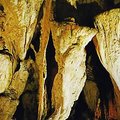 Waitomo Cave in Newzeland