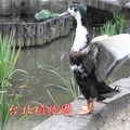 台北市植物園~2011