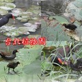 台北市植物園~2011