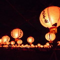 2009台灣燈會(宜蘭) - 4