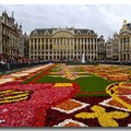 【城市光影】－ 布魯塞爾采風情 - 花毯節