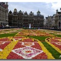 【城市光影】－ 布魯塞爾采風情 - 花毯節