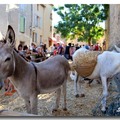 法國亞維儂 (Avignon).Châteauneuf-du-Pape。

這個小城鎮盛產葡萄酒，每年八月的第一個週末舉行品酒節日，

為增添地方色彩熱鬧活動，不忘中世紀傳統文化，

讓下一代有機會接觸了解農村生活。
