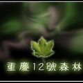 重慶12號森林 - 3