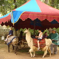 Renaissance Festival