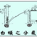 白蟻之分飛