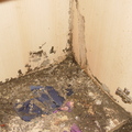 衣櫃下方被白蟻侵蝕損壞