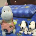 你好~ 我是小肥 這個名字是寶貝給我的喔
旁邊是寶貝的新朋友 Snoopy~ ^_^