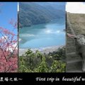 櫻花、碧湖、綿羊。我以為台灣觀光值得驕傲。