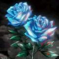 湛藍的玫瑰